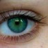 eye